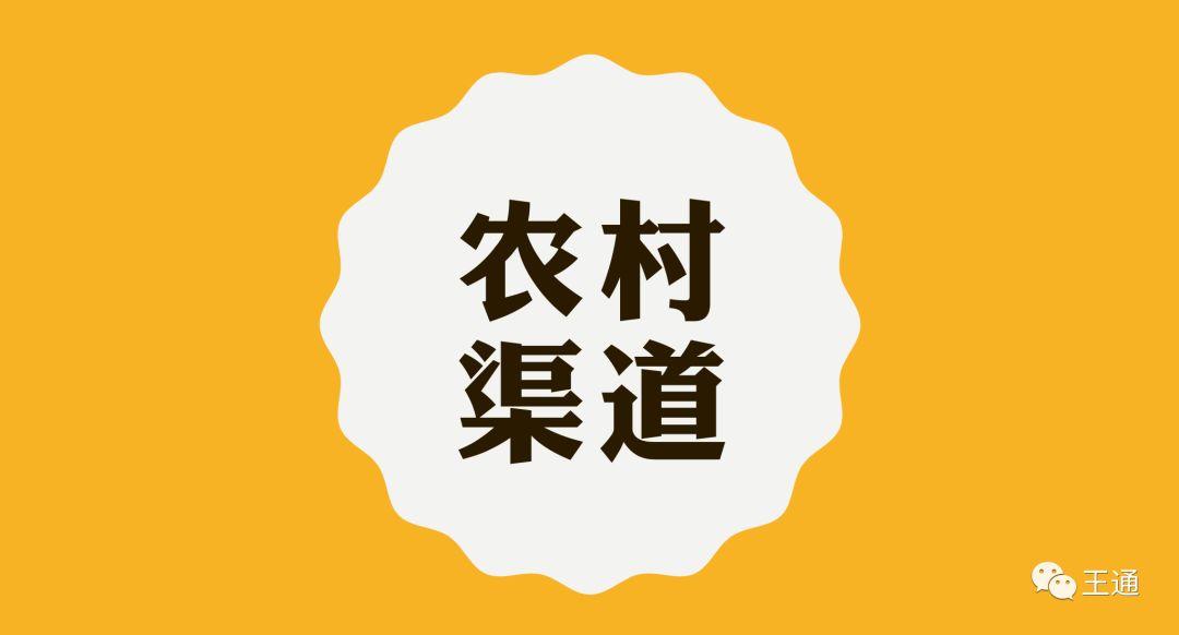 王通：中国最大农村刷墙公司村村乐升级成最大渠道